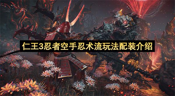 仁王3忍者空手忍术流玩法配装介绍