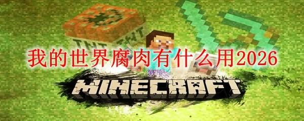 我的世界腐肉有什么用2026