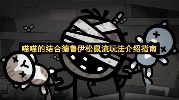 喵喵的结合德鲁伊松鼠流玩法介绍指南