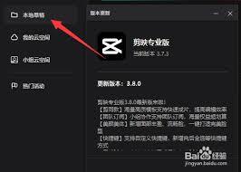剪映专业版怎样设置黑白滤镜