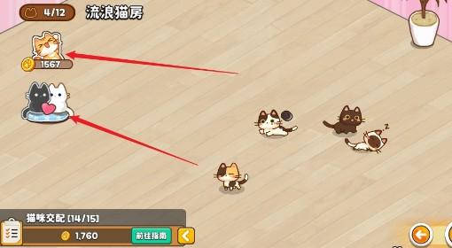 无限猫猫 新手指南