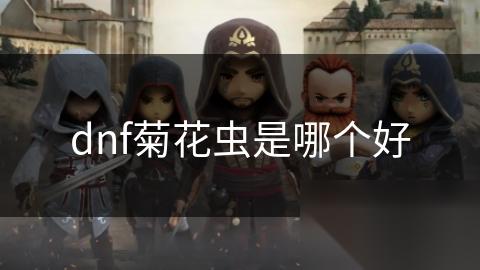 dnf菊花虫是哪个好