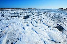 海水结冰会出现什么现象