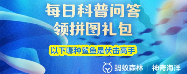 以下哪种鲨鱼是伏击高手