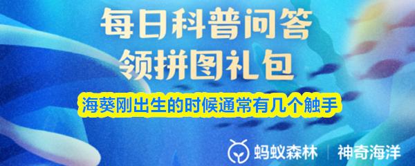 海葵刚出生的时候通常有几个触手