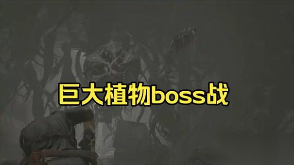 生化危机9安魂曲43号植物怎么打