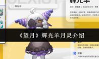 望月 辉光羊月灵介绍
