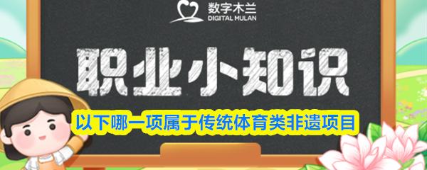 以下哪一项属于传统体育类非遗项目