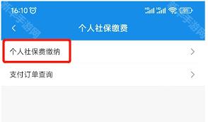 河北税务社保怎么缴纳