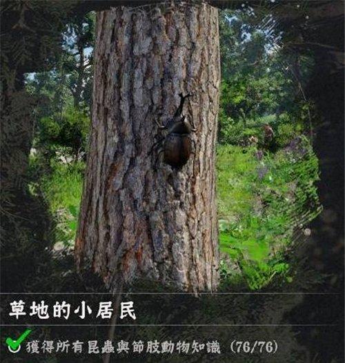 红色沙漠挑战任务蝴蝶收集攻略 如何收集蝴蝶