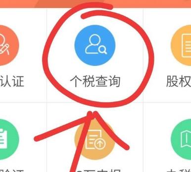如何查询个人所得税