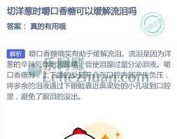 切洋葱时嚼口香糖能缓解流泪吗