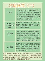腐根之里用水要注意什么