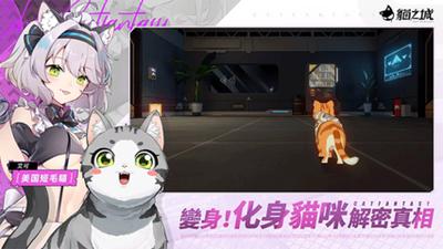 猫之城如何进行配队