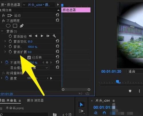 premiere如何制作视频眨眼效果