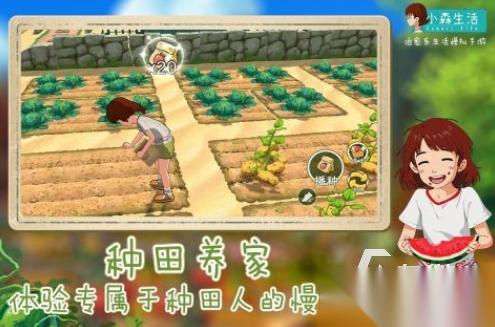 流行的新生活游戏有哪些 2026热门的新生活手游排行推荐